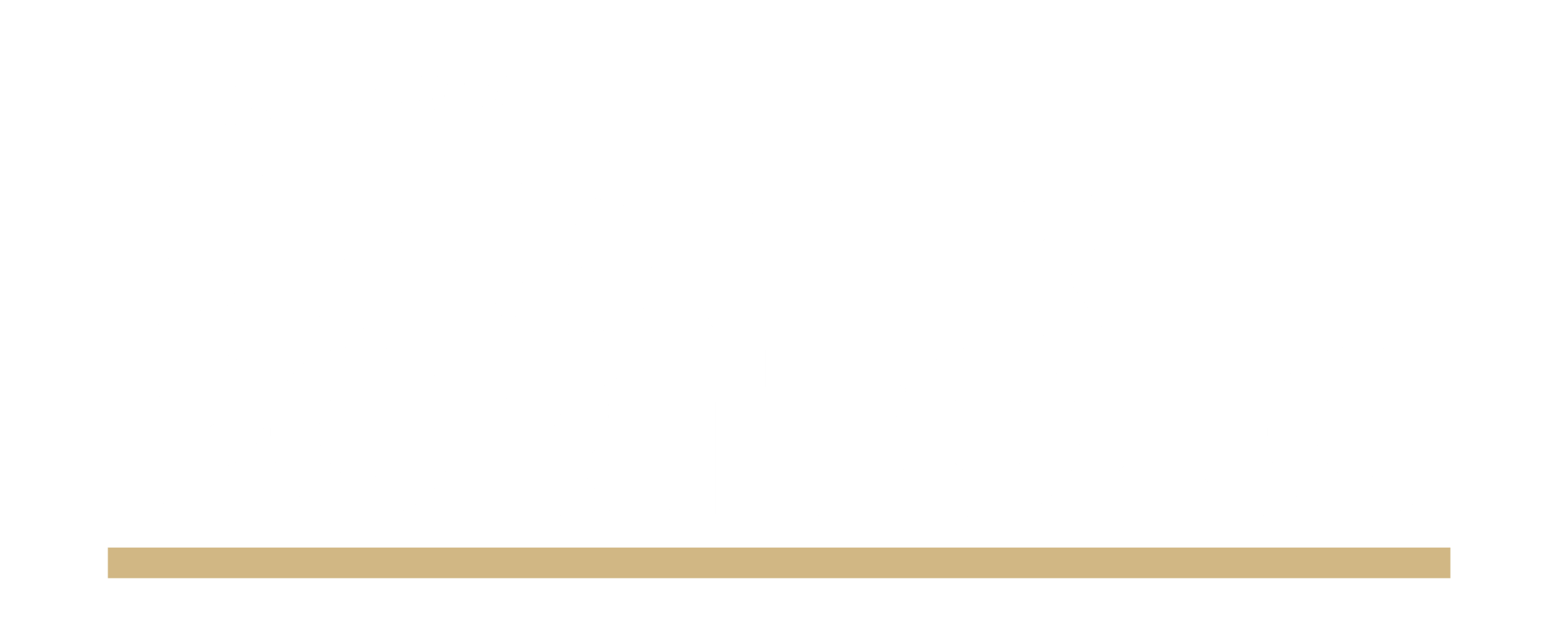 SELO - Master Portfólio_NI-23-1