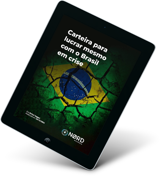 MOCKUP---Carteira-para-lucrar-mesmo-com-o-brasil-em-tempos-de-crise_NR-24